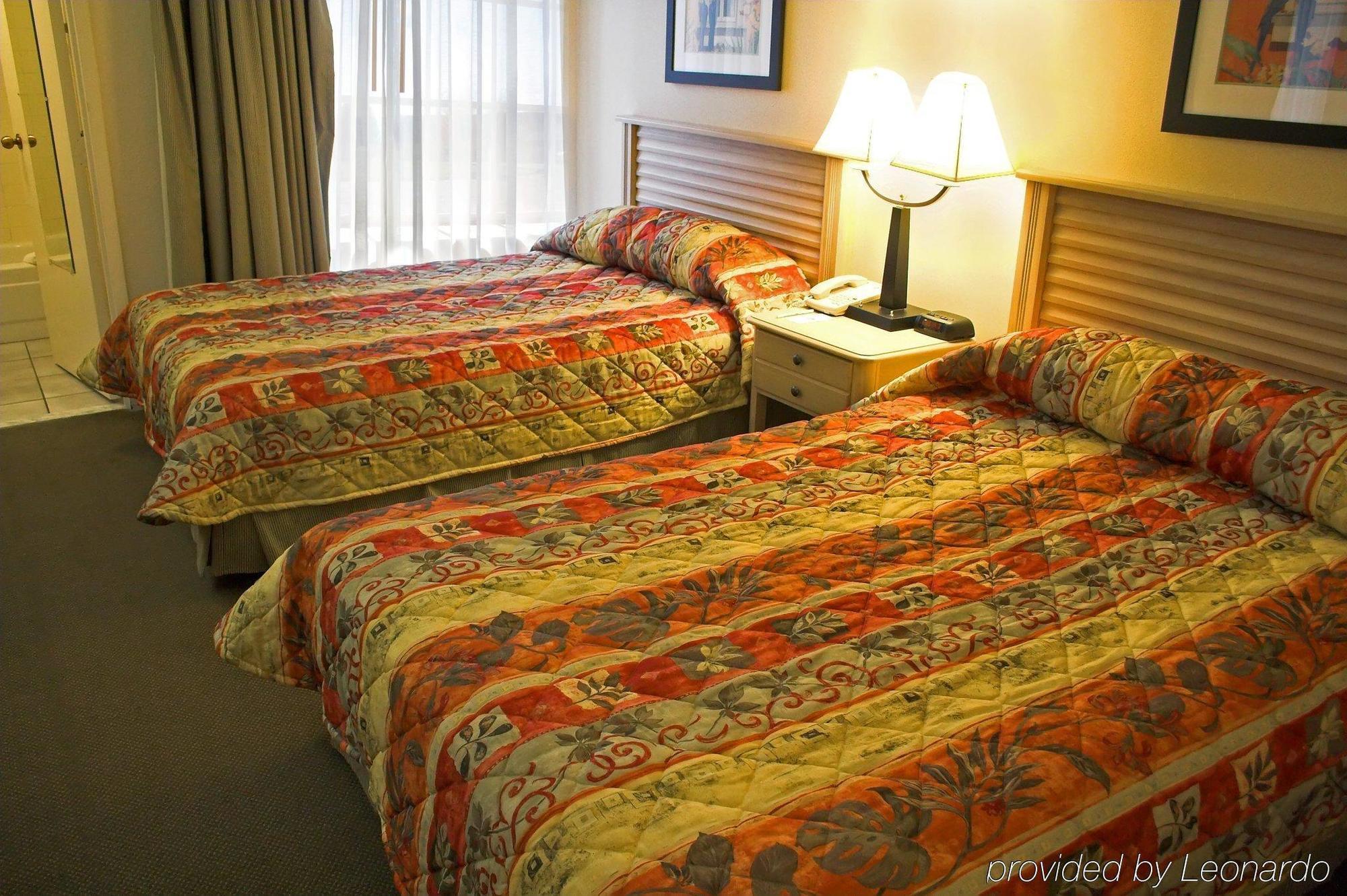 Baymont By Wyndham Tampa Near Busch Gardens Hotell Rum bild