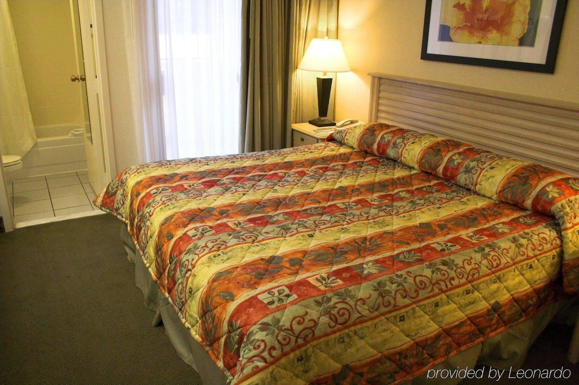 Baymont By Wyndham Tampa Near Busch Gardens Hotell Rum bild