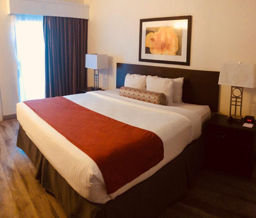 Baymont By Wyndham Tampa Near Busch Gardens Hotell Exteriör bild